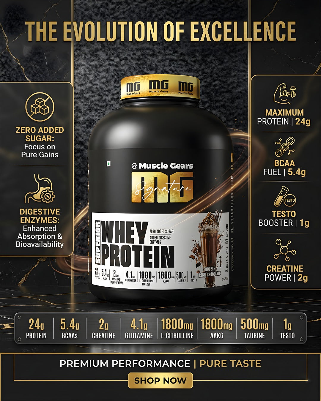 Muscle Gears Signature Whey Protein – Premium Fuel for Lean Muscle & Performance