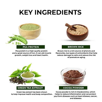 Muscle Gears 25g vegan Plant Protein for Daily Fitness Protein Requirement