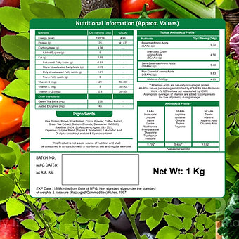 Muscle Gears 25g vegan Plant Protein for Daily Fitness Protein Requirement