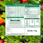 Muscle Gears 25g vegan Plant Protein for Daily Fitness Protein Requirement