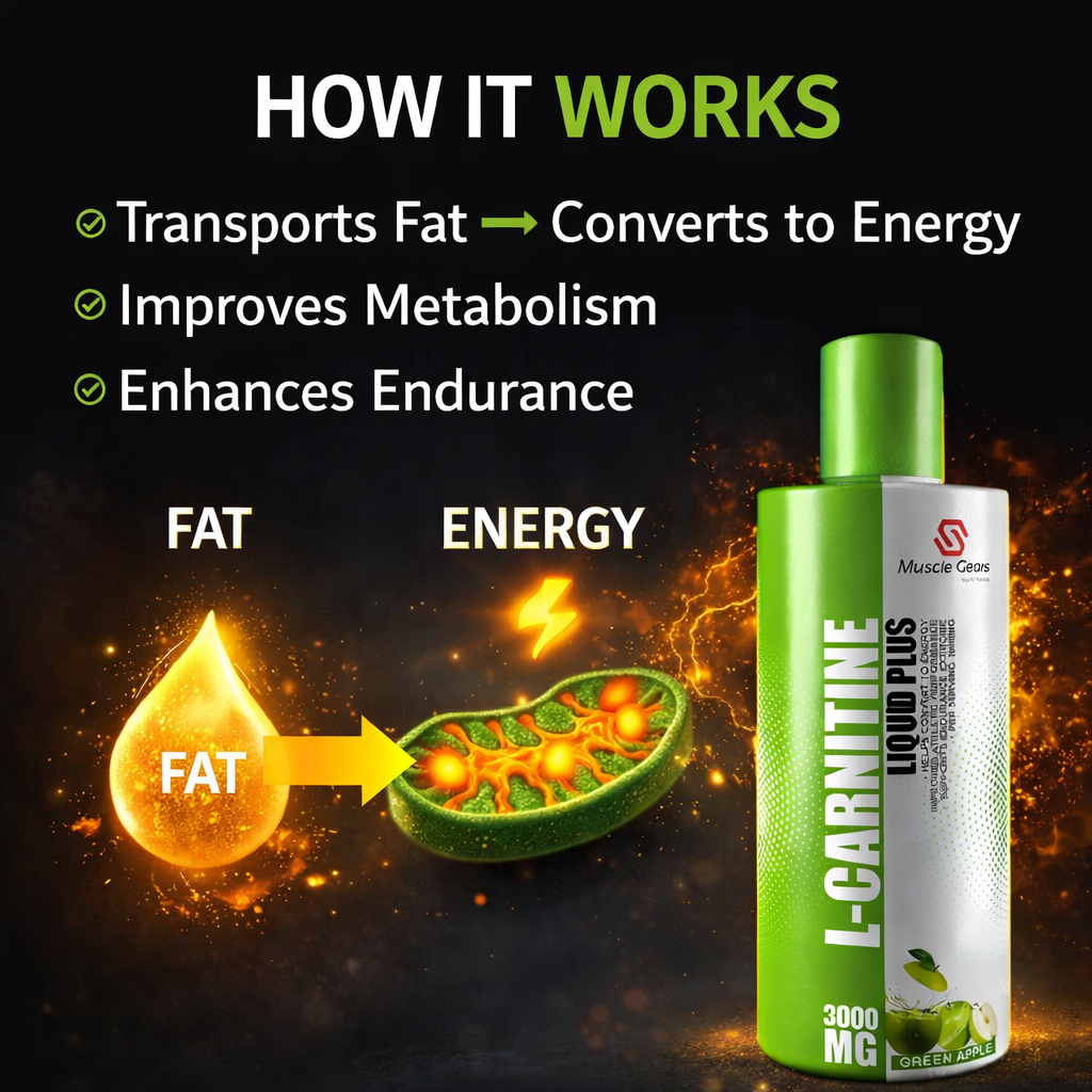 L-Carnitine 3000mg Liquid Supplement | Fat Burn, Energy, Performance & Recovery Support