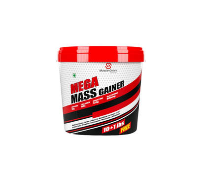 mass gainer.png