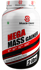 Are You Still Skinny?? Bulk Up Package – Starter Bulk Stack (Mass Gainer + Creatine + Multivitamin + Shaker)