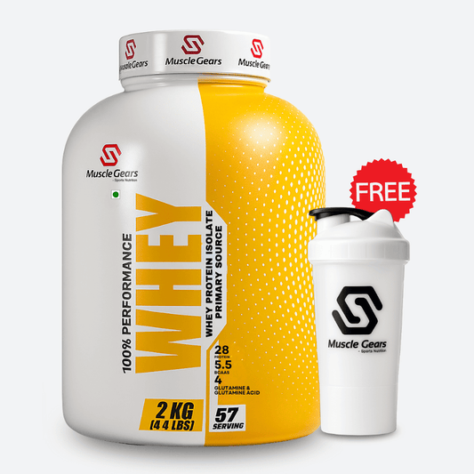 Yellow and white protein supplement bottle with a white shaker cup on a white background, featuring Muscle Gears branding.